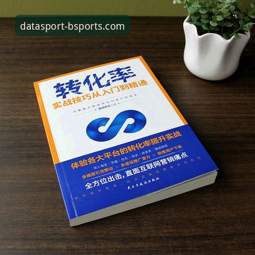 BSports体育平台数据服务实战指南：从入门到精通